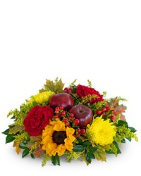 Autumn Orchard Centerpiece from Brennan's Florist and Fine Gifts in Jersey City