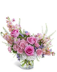 Cotton Candy Skies from Brennan's Florist and Fine Gifts in Jersey City Cotton Candy Skies from Brennan's Florist and Fine Gifts in Jersey City