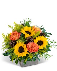 Woodland Sunshine from Brennan's Florist and Fine Gifts in Jersey City