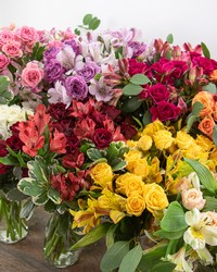 Alstroemeria & Spray Rose Monochromatic Bouquet from Brennan's Florist and Fine Gifts in Jersey City