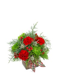 Plaid Tidings from Brennan's Florist and Fine Gifts in Jersey City