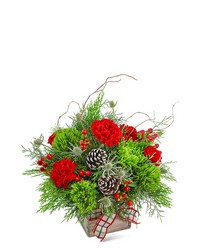 Festive Tidings from Brennan's Florist and Fine Gifts in Jersey City