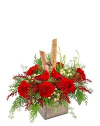 Woodland Cardinal Cheer from Brennan's Florist and Fine Gifts in Jersey City